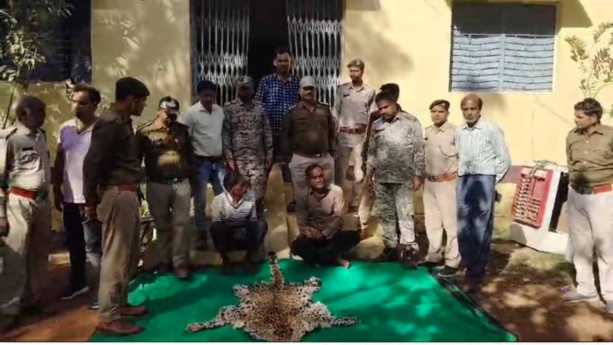 दोस्ती, विश्वास फिर भंडाफोड़: वन्यजीवों के अंगों की तस्करी करने वाले 2 आरोपी गिरफ्तार, तेंदुए की खाल और शरीर के अन्य अंग बरामद
