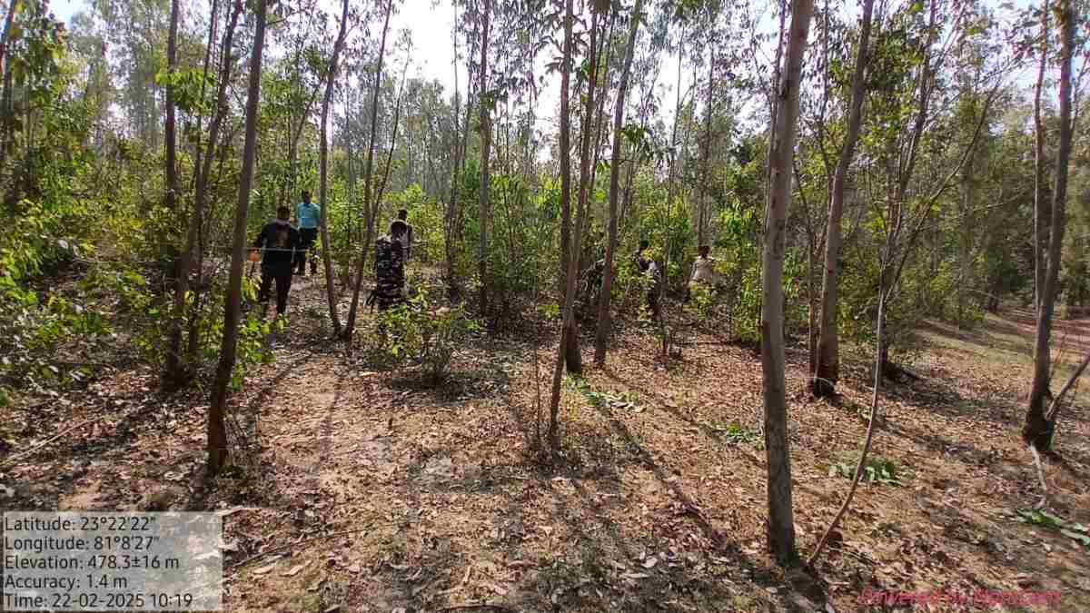 बांधवगढ़ टाइगर रिजर्व में मिला बाघ का शव, अब तक नहीं हुआ पोस्टमार्टम, वन विभाग पर उठे सवाल