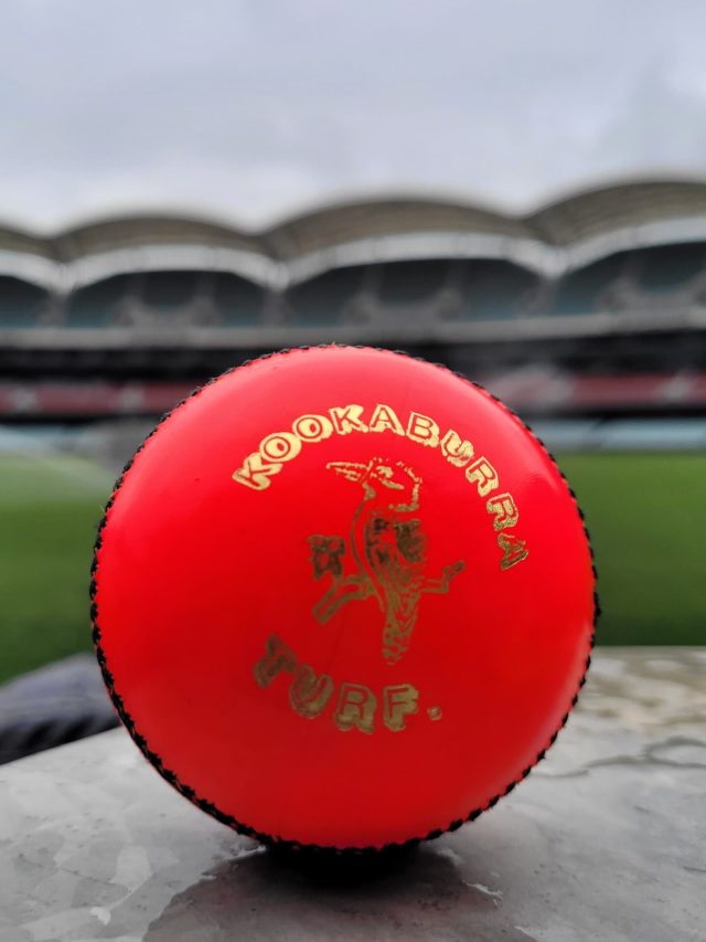 Pink Cricket Ball : क्रिकेट के डे-नाइट टेस्ट मैच में पिंक गेंद का इस्तेमाल क्यों? जानिए वजह