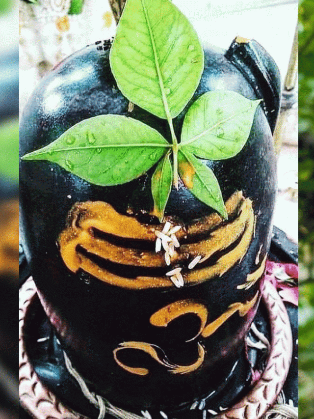 ऐसे हुई बेलपत्र की उत्पत्ति, इसलिए भगवान शिव को है प्रिय….