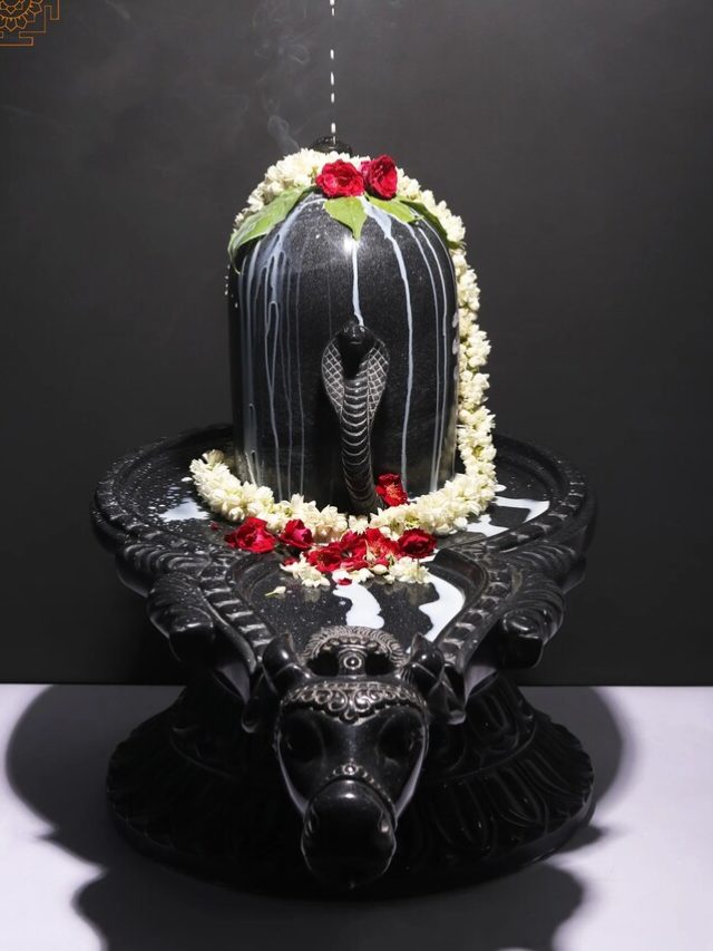 Mahashivratri 2025: महादेव को कौन सा फूल चढ़ाएं और कौन सा नहीं