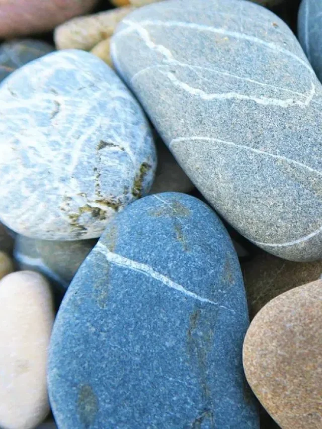 8000 रुपये में बिक रहा ये पत्थर, खरीदने के लोग हो रहे पागल…