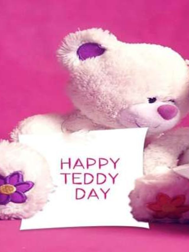 Teddy Day 2025: किस रंग के टेडी का क्या होता है मतलब? पार्टनर को क्या करे गिफ्ट