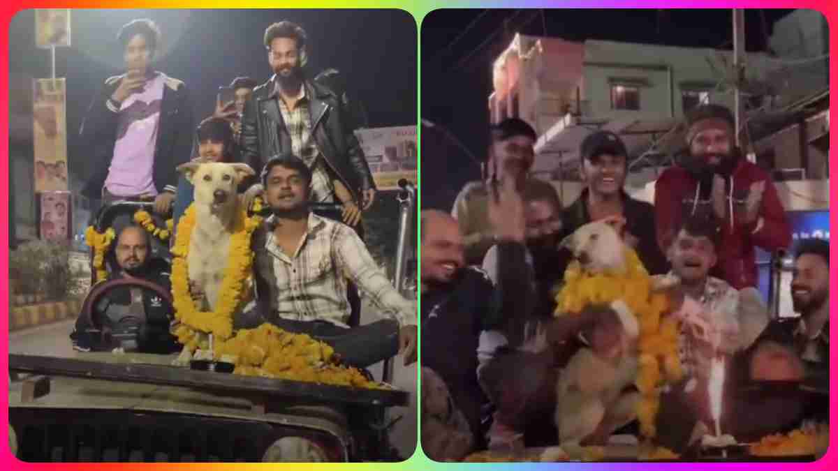 Story Of A Gangster… MP के इस जिले में मना ‘लूडो भाई’ का बर्थडे, नेताओं की तरह हाइवे पर लगाए पोस्टर, Video