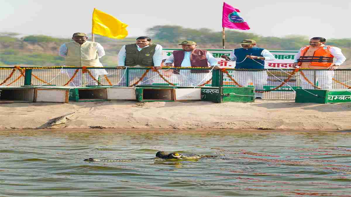 CM डॉ. मोहन ने चंबल नदी में 10 घड़ियाल शावकों को किया रिलीज, बोले- घड़ियाल अभ्यारण्य बन सकता है सेंचुरी