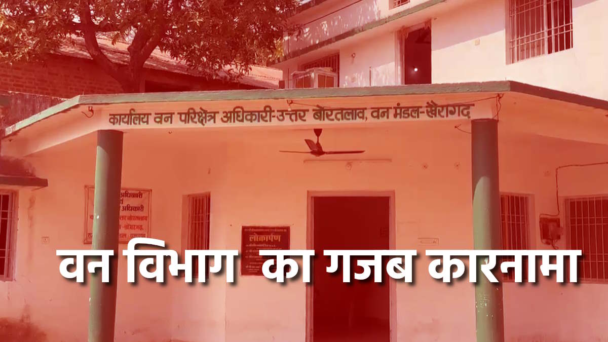 वन विभाग का गजब कारनामा: गर्भवती महिला और स्कूली छात्र के नाम पर फर्जी भुगतान कर डकार गए करोड़ों की राशि…