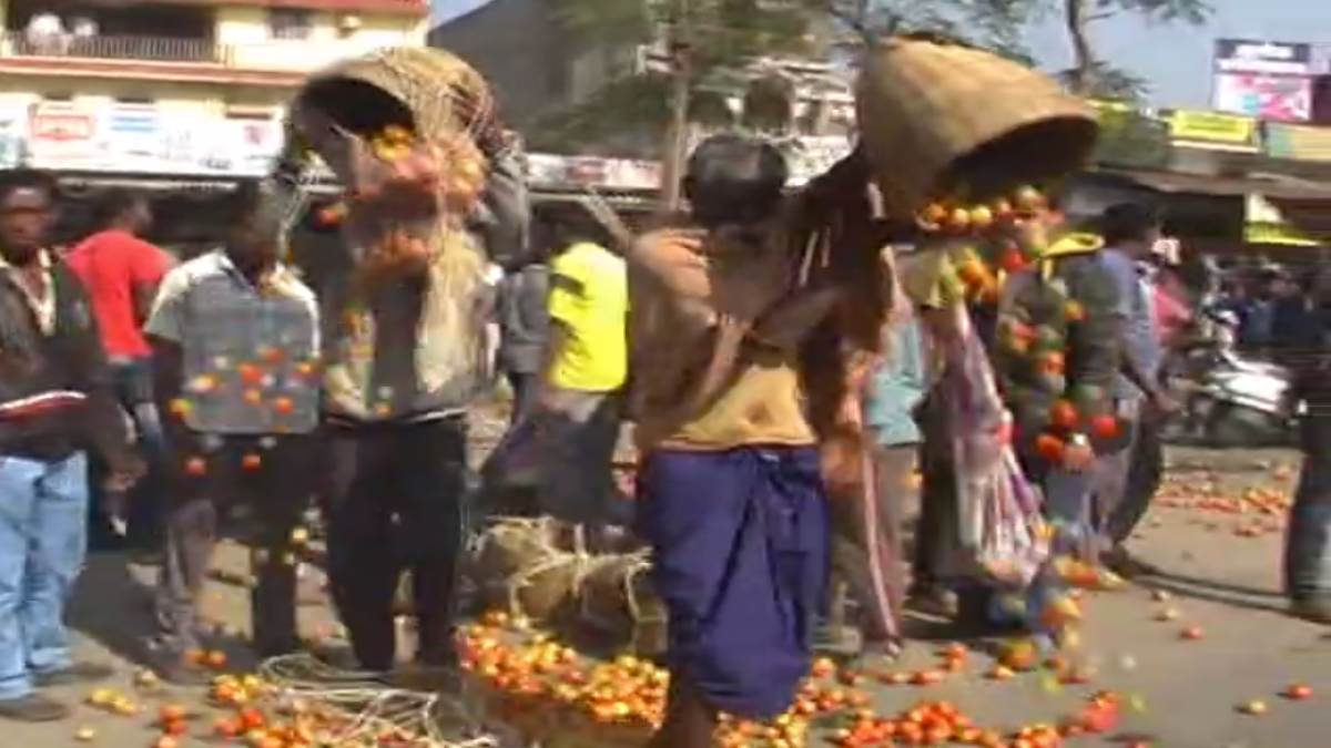 टमाटर के दाम सस्ते होने से किसानों की बढ़ी मुश्किलें, सड़क में फेंके कई क्विंटल टमाटर…