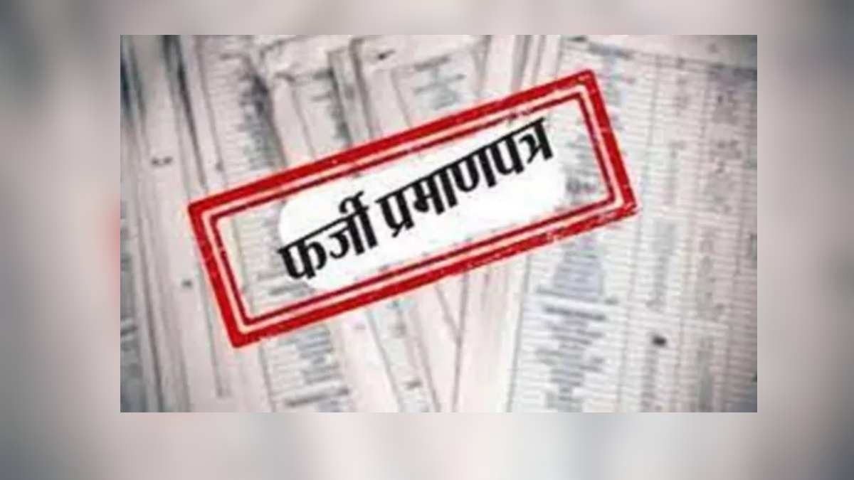 BSNL निविदा में धोखाधड़ी : चिप्स ने मेसर्स दिनेश इंजीनियरिंग के खिलाफ FIR के दिए निर्देश, फर्जी अनुभव प्रमाण पत्र से जुड़ा है मामला