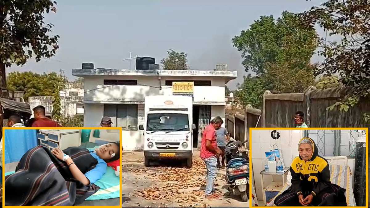 CG Breaking News : मधुमक्खियों के झुंड ने लोगों पर किया हमला, एक की मौत, 3 घायल