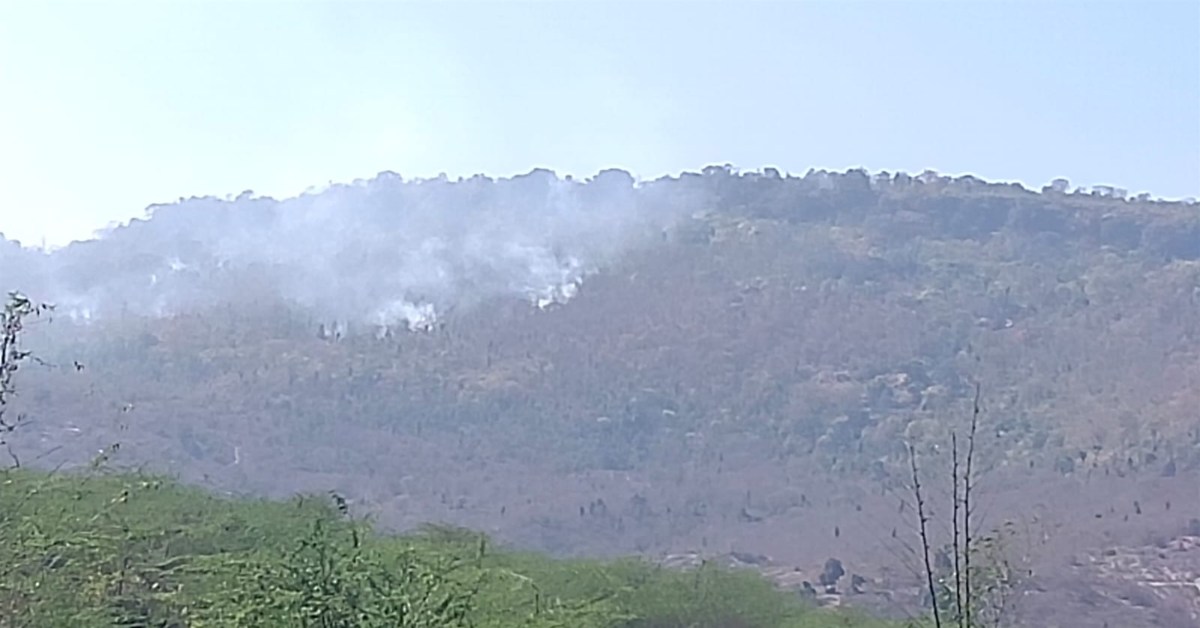 महोगढ़ी वन क्षेत्र में लगी आग, ग्रामीणों की सूचना पहुंची टीम, वनकर्मियों की कार्यप्रणाली पर उठे सवाल