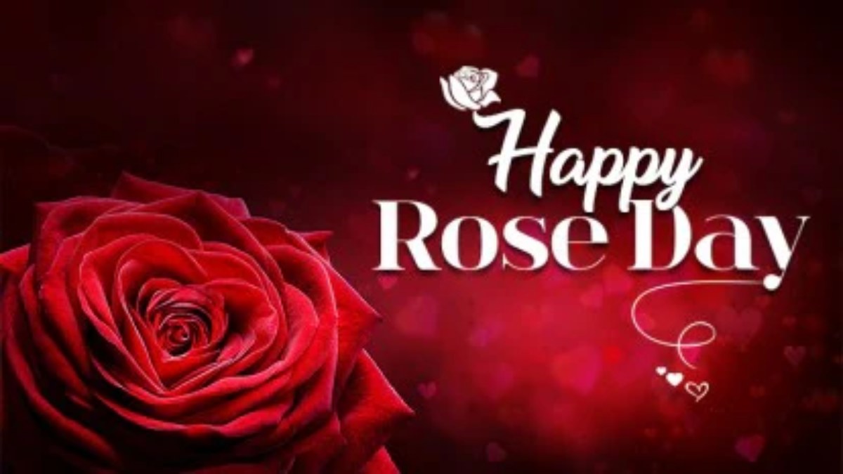 प्यार के खूबसूरत हफ्ते की शुरुआत, अपने प्रेमी को प्रपोज करने यूथ सर्च कर रहा Happy Rose Day Images …