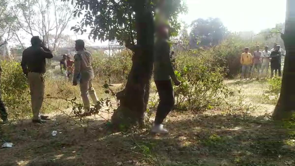 CG News : प्रेम प्रसंग में आत्महत्या! पेड़ से लटकता मिला युवक का शव, जांच में जुटी पुलिस