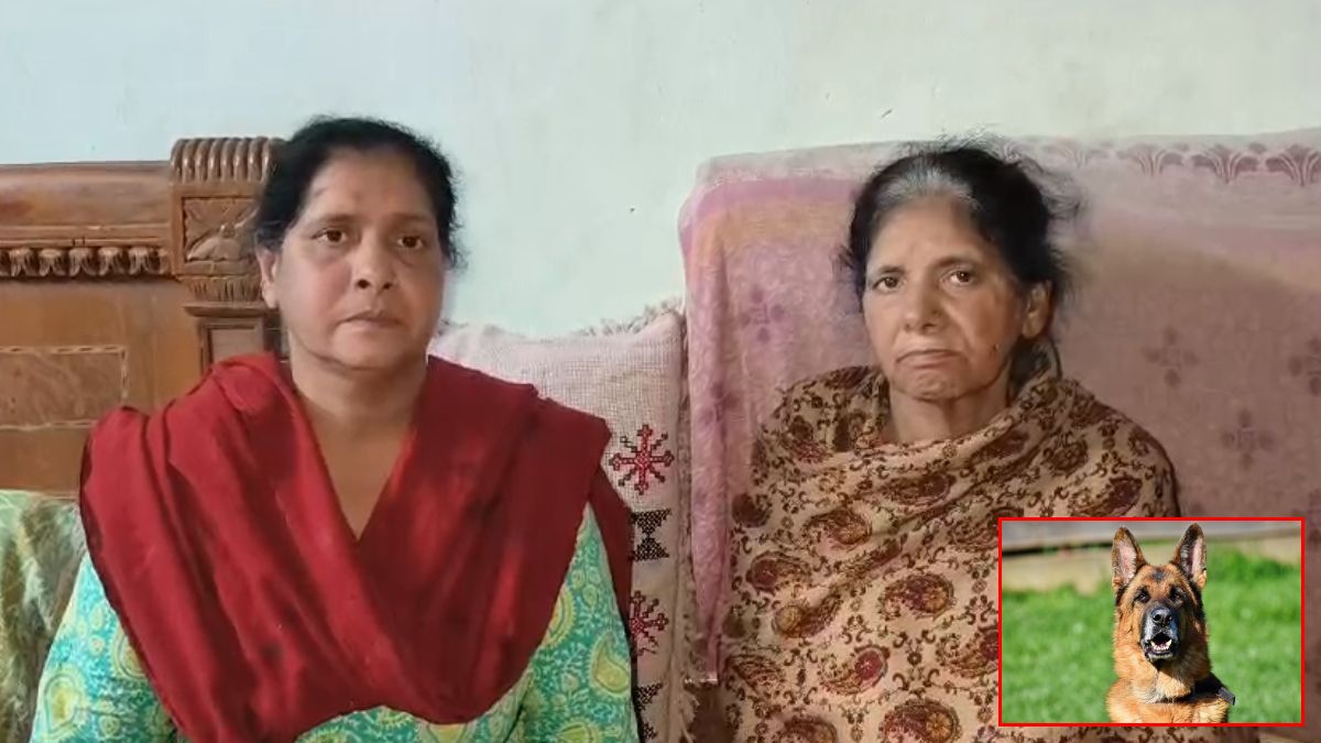 छू…छू…छू… भाभी ने 2 ननद को कुत्ते से कटवाया, वजह जानकर आप भी रह जाएंगे हैरान