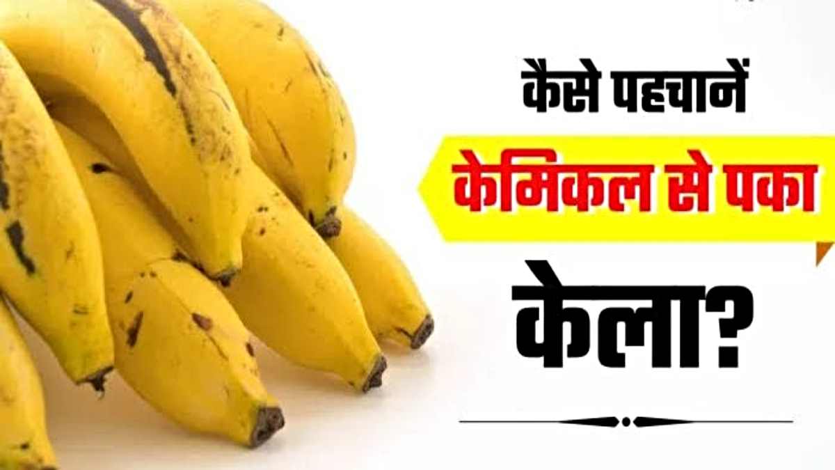 How To Identify Real Banana: कहीं आप भी तो नहीं ख़रीद रहे नक़ली केला? यहां जानें किस तरह करें असली केले की पहचान…