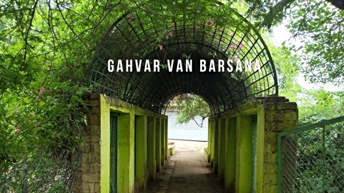 Gahvar Van: कृष्ण के प्रेम में राधा रानी ने सजाया था जंगल, आज भी यहां होती हैं रहस्यमयी घटनाएं…