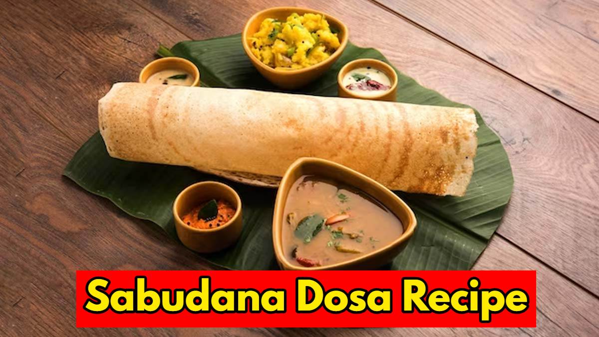 Sabudana Dosa Recipe: महाशिवरात्रि व्रत में फलाहार के लिए बनाएं साबूदाने का क्रिस्पी डोसा, रेसिपी देखें यहां…