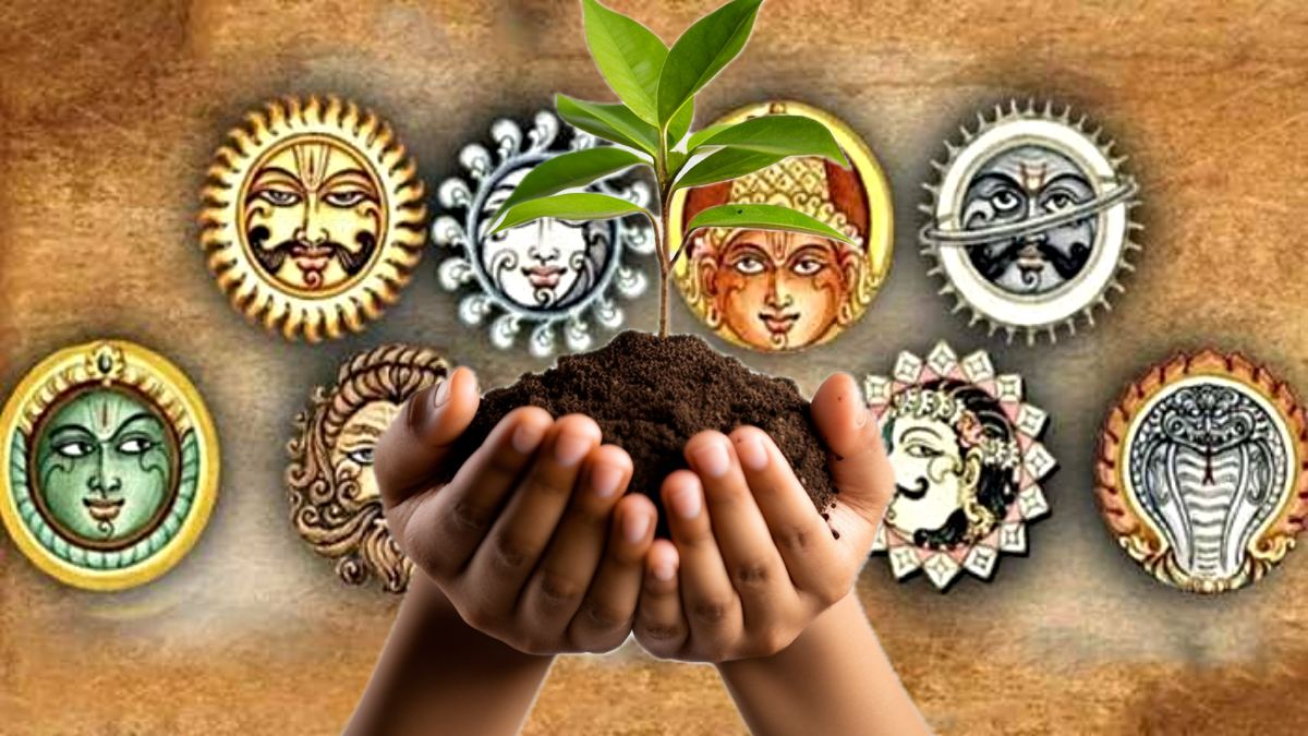 Jyotish Shastra: इन पौधों को लगाने से खुल सकता है भाग्य, नौ ग्रह होते हैं शांत…