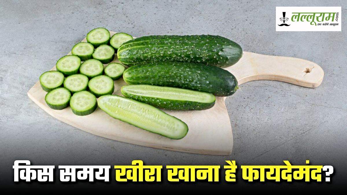 Cucumber Khane ka Sahi Samay: सुबह, शाम या रात? किस समय खीरा खाना होता है फायदेमंद, जाने यहां…