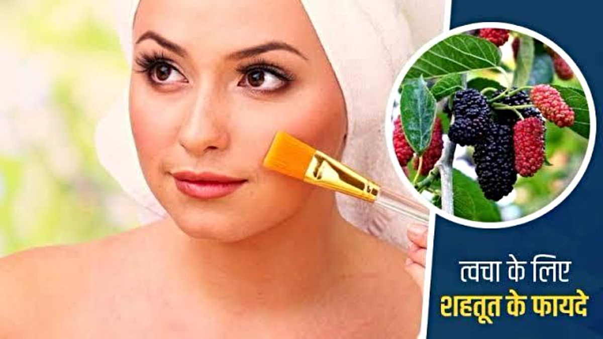 Mulberry Benefits: स्किन के लिए बहुत ही फायदेमंद है शहतूत, इसका पेस्ट लगाएं या फिर ऐसे ही खाएं, मिलेगा पूरा फायदा…