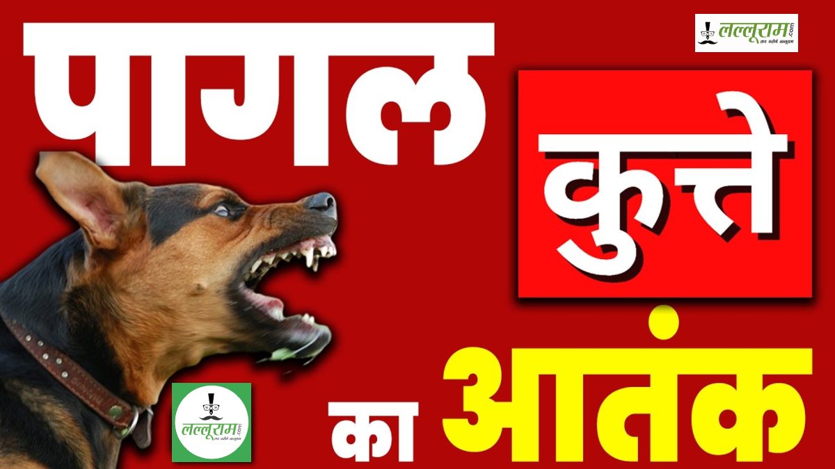 पागल कुत्ते का आतंक: 30 से अधिक लोगों पर हमला कर किया घायल, अस्पताल में इलाज जारी