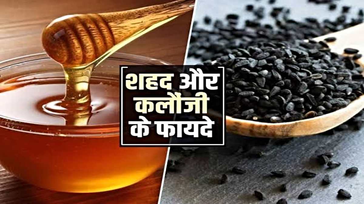 Health Tips: शहद में कलौंजी मिलाकर करें सेवन, इसके फायदे जानकर रह जाएंगे हैरान…