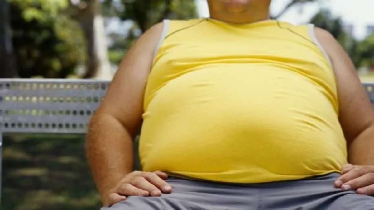 बीमारियों का घर है मोटापा, हर साल होती है 28 लाख मौतें, BMI से नहीं पता चलता मोटापा, WHO ने किया अलर्ट…