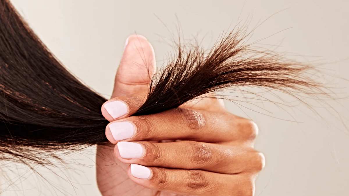 Split Ends Hair Care Tips: क्या आप भी दो मुंहे बालों की समस्या से परेशान हैं? ये उपाय दिलाएंगे राहत!
