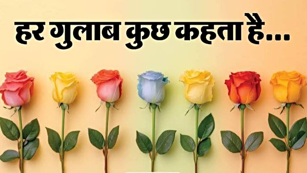 Valentine Week, Rose Day: गुलाब का रंग बोलेगा आपकी दिल की बात, जानें किसे दें कौन से रंग गुलाब…