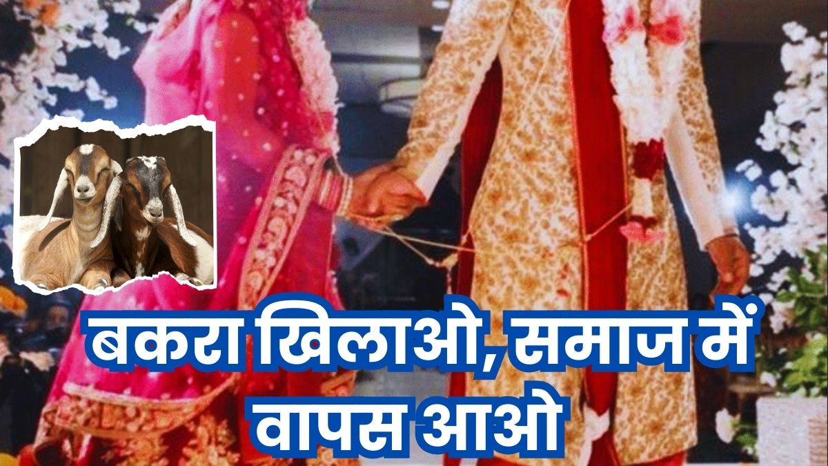 बकरा दिलाएगा समाज में एंट्री ! दूसरी जाति में की बेटे की शादी तो समाज ने किया बहिष्कार, कहा- बकरा खिलाओ और वापस आओ