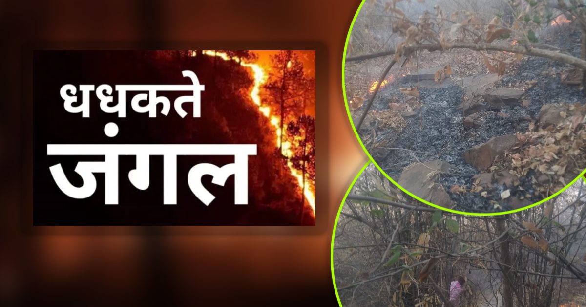 मिर्जापुर के जंगल में लगी आग : दूसरे दिन भी जारी रहा कहर, तेज हवाओं ने स्थिति बिगाड़ी