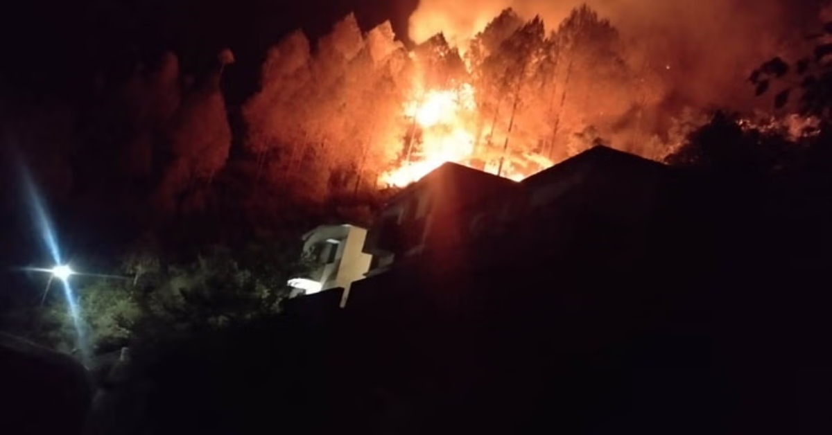 अल्मोड़ा में धधके जंगल, दूर से दिखाई दे रहा धुएं का गुबार, वन संपदा को भारी नुकसान