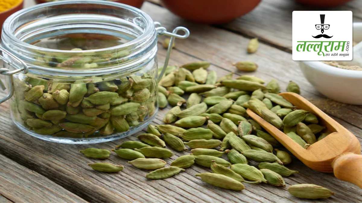 इलायची के छिलके में छिपे हैं अनोखे गुण: पाचन में मदद के साथ आंखों के लिए भी है बेहद लाभकारी, यहां जानें इसके फायदे