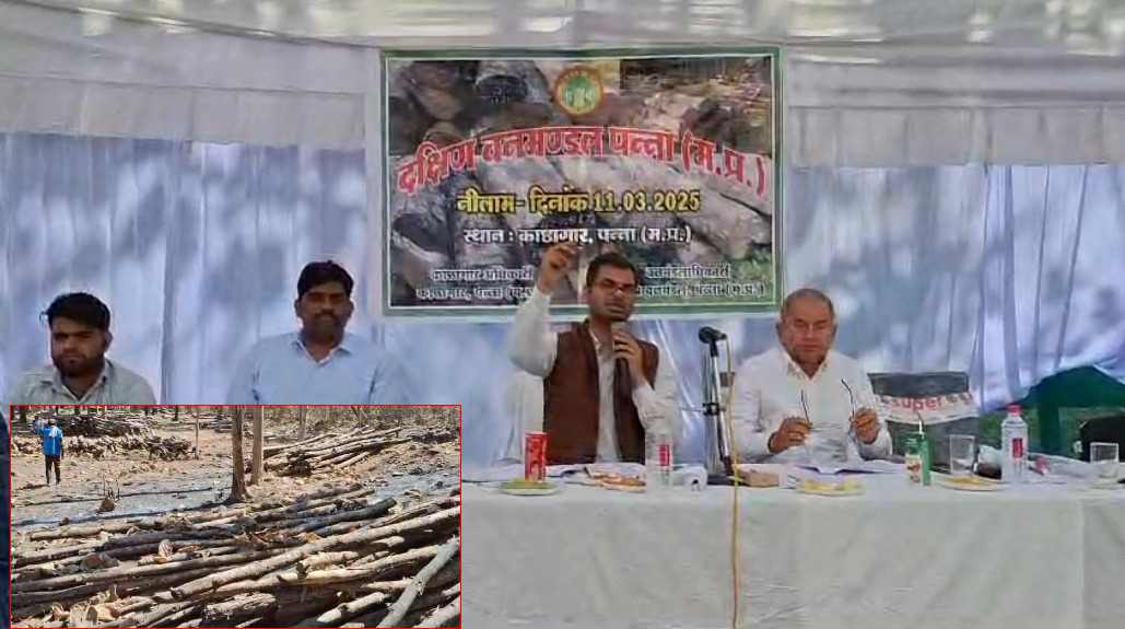 खत्म हुई सागौन की लकड़ी की ऑफलाइन नीलामी: 1 करोड़ 30 लाख में नीलाम हुई 758 लॉट लकड़ी, कई जिलों से शामिल हुए व्यापारी