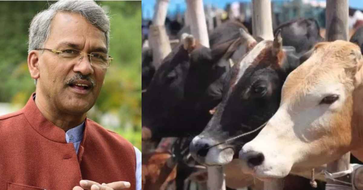 पशुओं के लिए भी बनेगी जेनेरिक दवाइयां, सांसद त्रिवेंद्र सिंह रावत का बड़ा बयान, बोले- पशुपालकों और किसान भाइयों को होगा लाभ