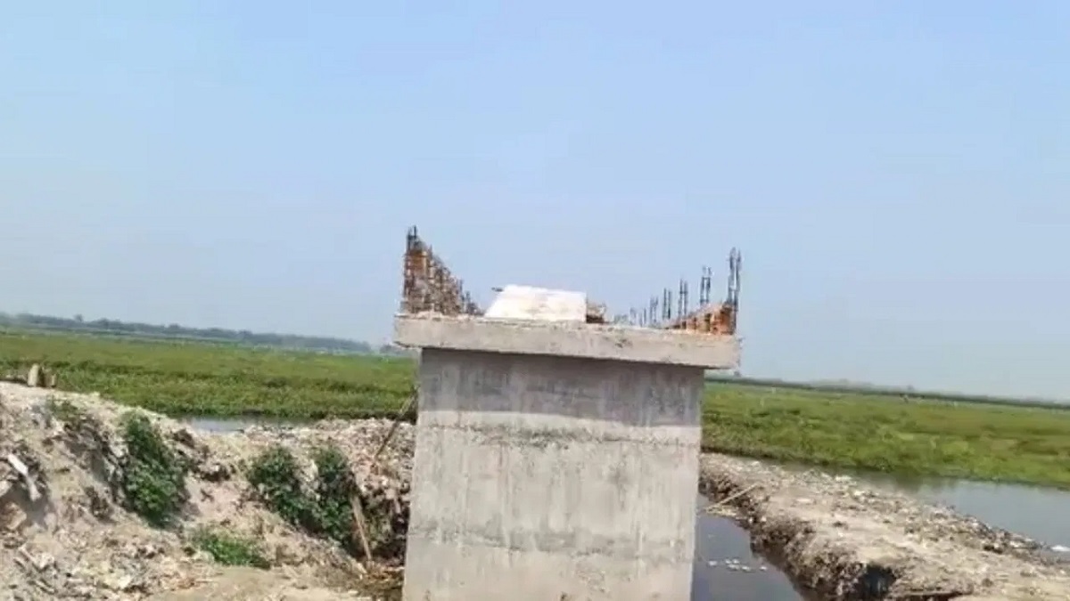 गजबै है…बिहार में भू-माफियाओं ने बना दिया निजी पुल, वजह जानकर चकरा जाएगा आपका भी सिर, VIDEO वायरल