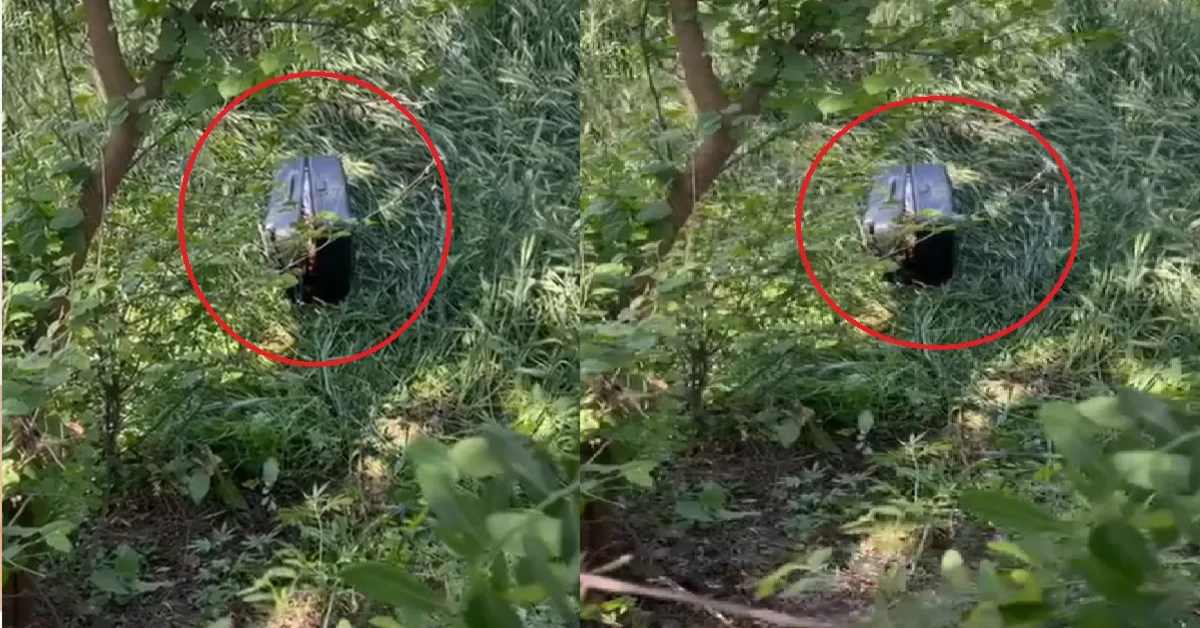 गेहूं के खेत में सूटकेस में मिला शव, खेत मालिक के फूले हाथ पांव, शरीर पर नहीं है एक भी चोट के निशान