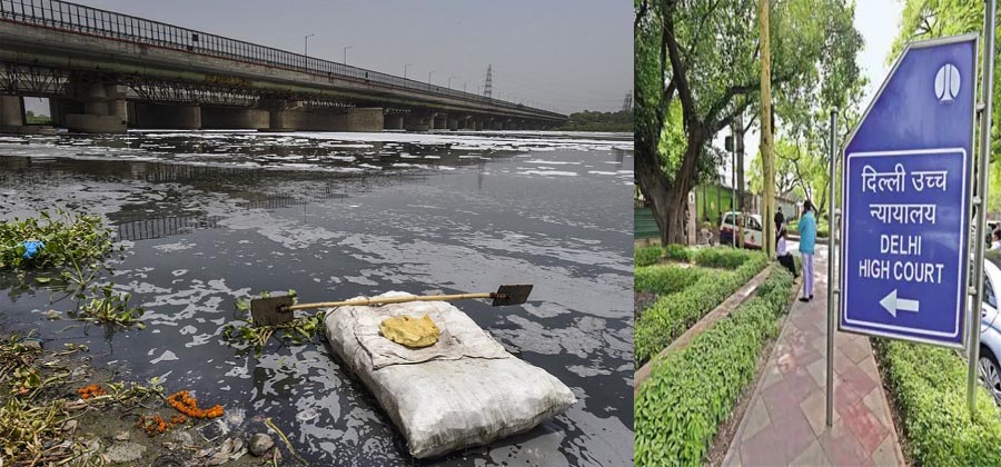 क्यों जहरीली हो रही यमुना? वजह सामने आने पर हाईकोर्ट ने भी जताई हैरानी, ये है पूरा मामला