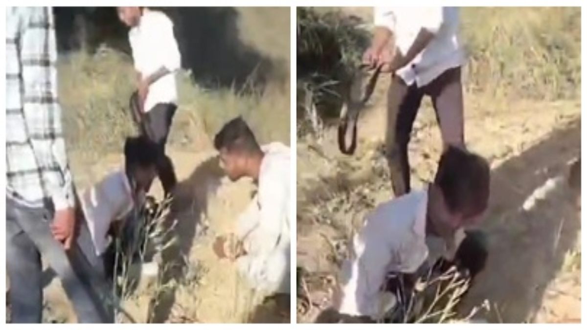 दबंगों की तालिबानी करतूत: युवक को मुर्गा बनाकर लात-घूसों और बेल्ट से की पिटाई, Video वायरल  