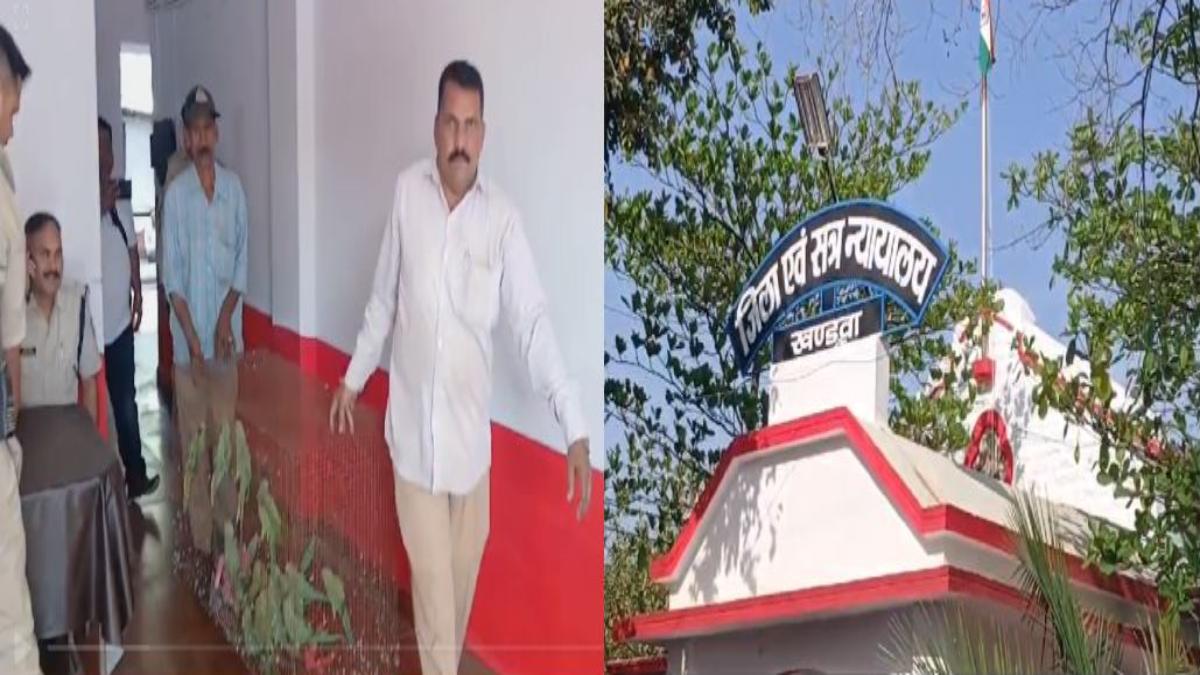 अजब-गजबः कोर्ट में हुई 27 तोता पक्षियों की पेशी, वन विभाग के अधिकारियों ने पिंजरे से आजाद कराने किया पेश, न्यायालय से मिली अनुमति, दो आरोपी को भेजा जेल