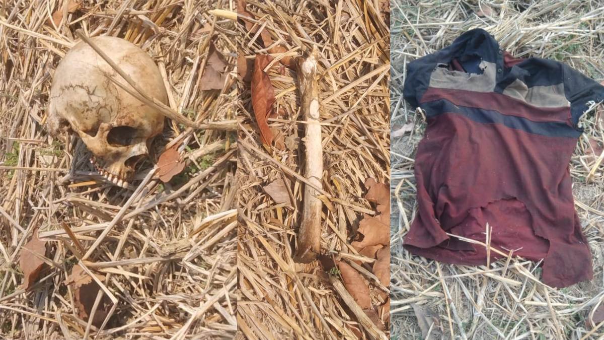 हत्या या जंगली जानवर का हमला? खेत में मिला नर कंकाल, इलाके में फैली सनसनी