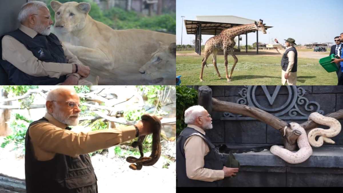 PM मोदी ने गुजरात में वंतारा वाइल्डलाइफ सेंटर का किया उद्घाटन, वन्यजीवों के साथ हुए रूबरू, देखिए VIDEO