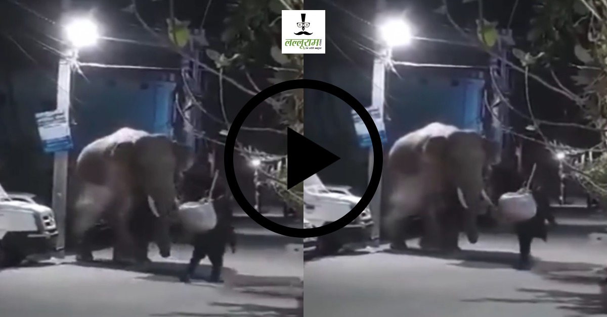 पीने के बाद तो शेर भी कुछ नहीं, ये तो हाथी है..! इमेज देखकर कुछ और ना समझिएगा, Video देख रह जाएंगे हैरान