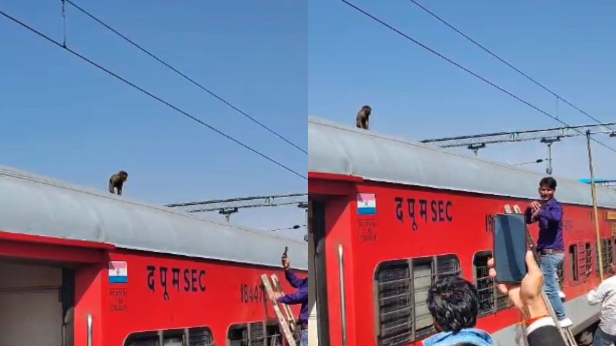 आफत बना बंदर… AC बोगी की छत पर बैठ आगरा से पहुंचा ग्वालियर, रेस्क्यू करने में छूटे पसीने, VIDEO