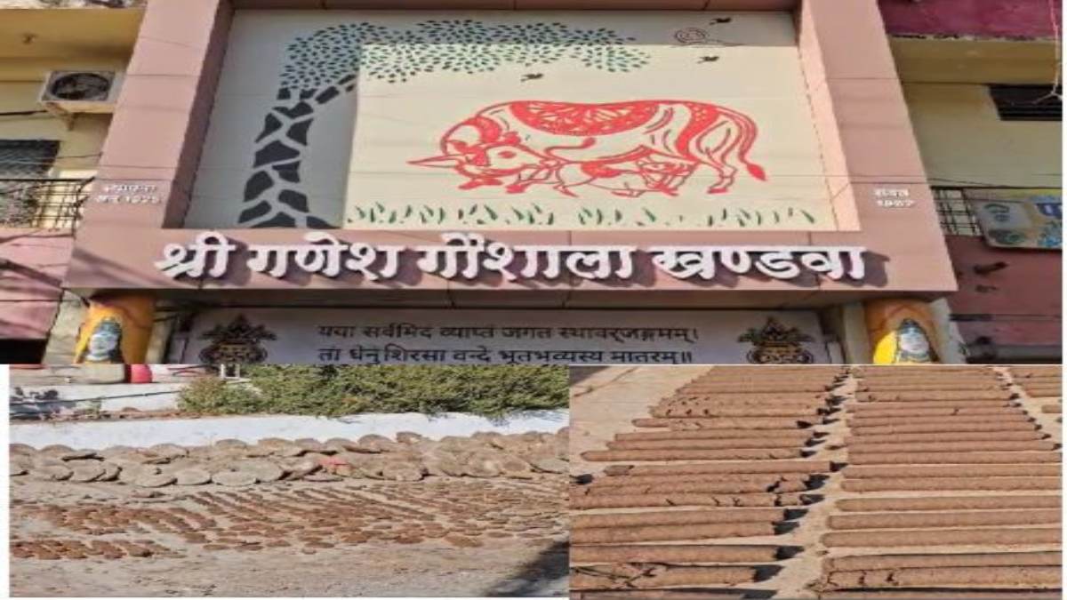 होली पर पर्यावरण संरक्षण का संदेशः गोशाला में तैयार हो रहे कंडे ओर गोकाष्ठ, होलिका दहन के लिए उपलब्ध