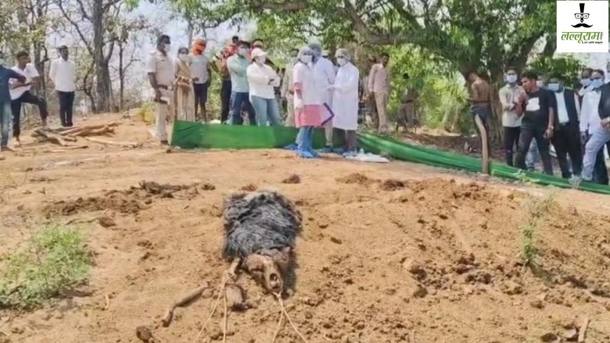 तस्करी की आशंका: एक महीने पहले जलाशय में मिला भालू का शव, बिना पोस्टमार्टम के दफनाया, फॉरेस्ट गार्ड और डिप्टी रेंजर को शो कॉज नोटिस जारी…