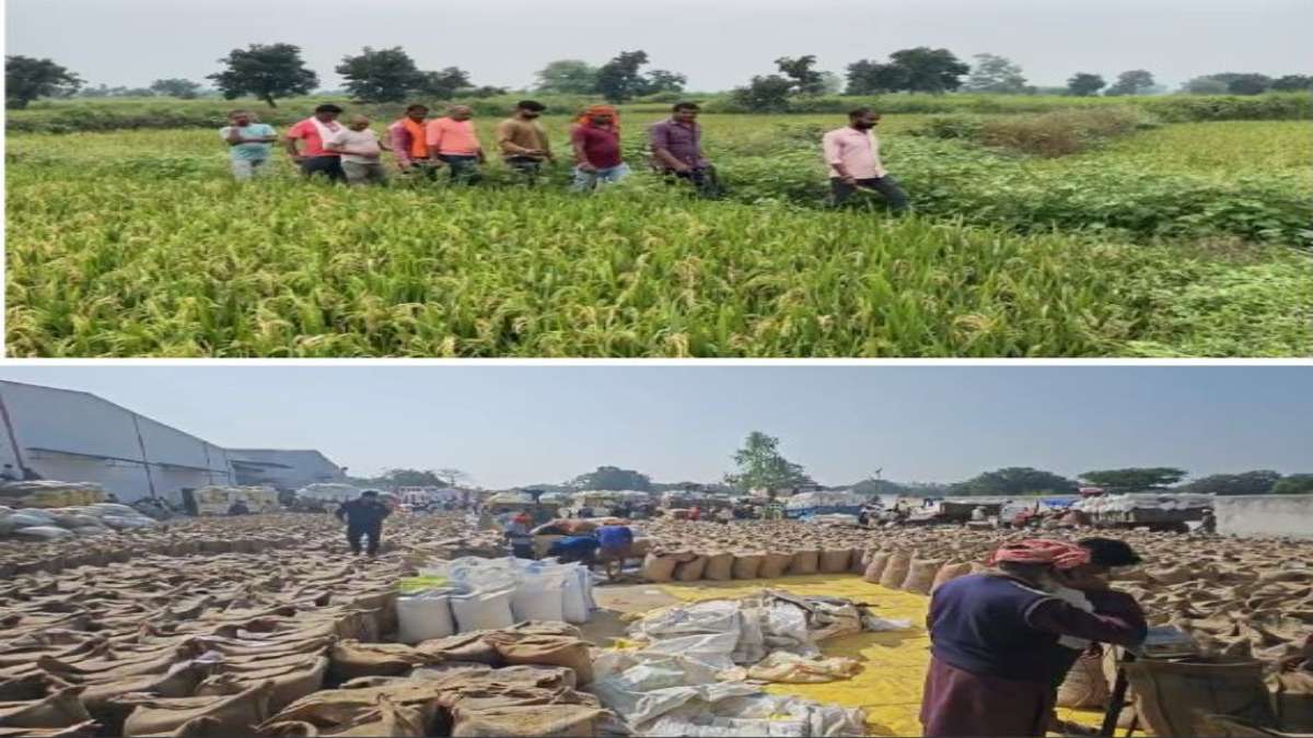 हजारों अन्न दाताओं के करोड़ों का भुगतान बकायाः किसानों के जरूरी काम अटके, दी आंदोलन की चेतावनी