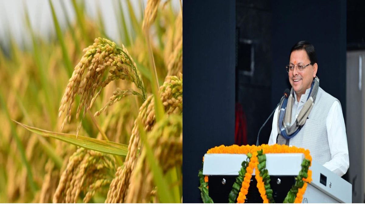 अन्नदाताओं के लिए खुशखबरी: CM धामी ने बेमौसम धान की खेती पर हटाया रोक, बोले- किसानों को वैकल्पिक खेती…