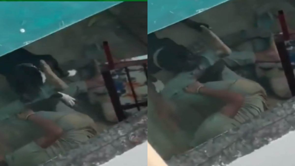 ‘मौत’ बनकर टूट पड़ा पिटबुल: खाना देने गए युवक पर बोला जानलेवा हमला, VIDEO देख मुंह को आ जाएगा कलेजा
