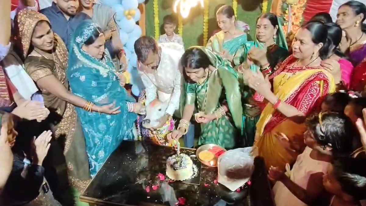 CG में बछिया का जन्मोत्सव : घायल गाय को सिन्हा परिवार ने दी नई जिंदगी, बछिया के जन्मदिन को बनाया यादगार, 300 लोग बने मेहमान, केक काटने के बाद सभी ने किया डांस, व्यंजनों का लुत्फ भी उठाया, देखें VIDEO…