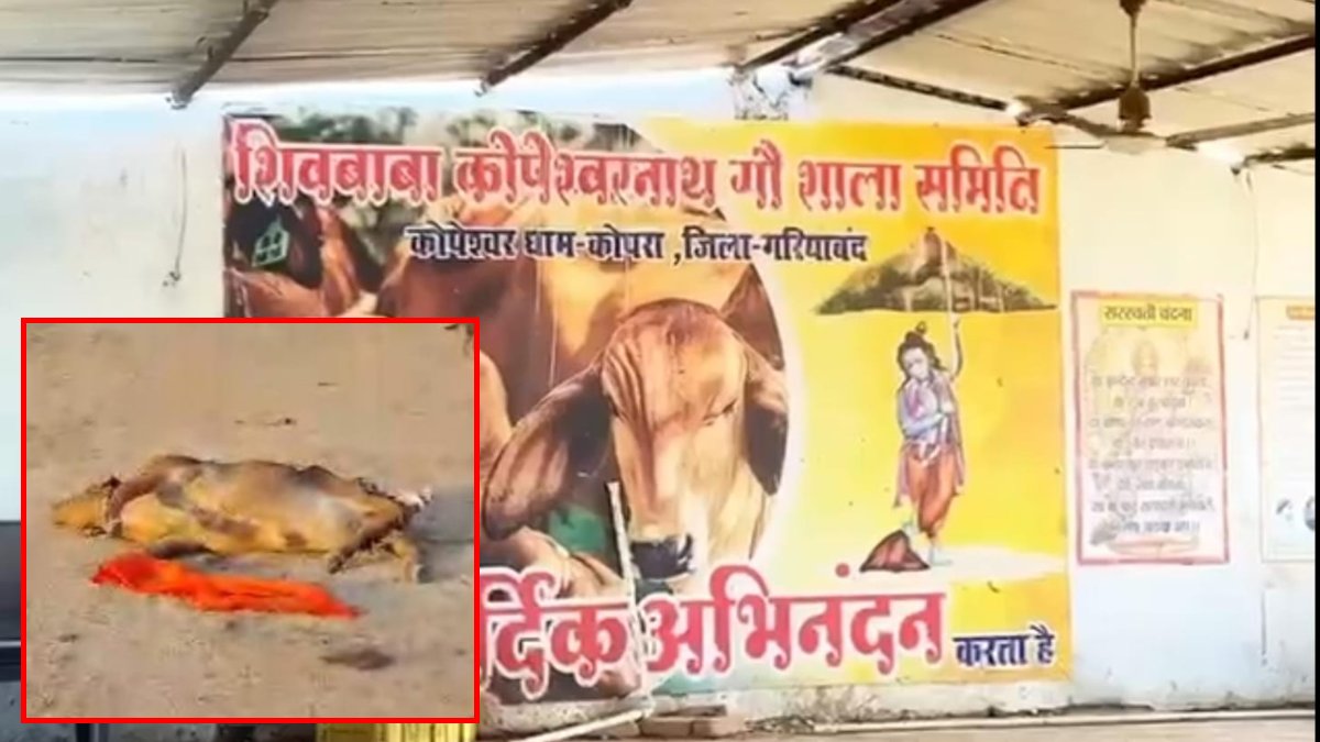 पशु क्रूरता मामला : लापरवाही के कारण हुई 19 गायों की मौत, 2 आरोपियों के खिलाफ मामला दर्ज 